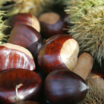 chestnuts