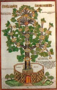 solovki_genealogy